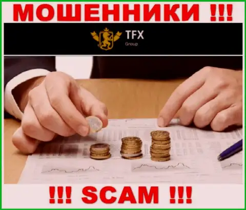 Не попадите в грязные руки к интернет-мошенникам TFX Group, так как можете остаться без денежных вкладов