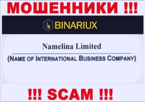 Binariux - это интернет мошенники, а владеет ими Namelina Limited