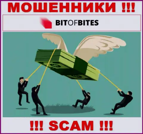 Не сотрудничайте с брокерской компанией BitOfBites Com - не окажитесь очередной жертвой их мошеннических комбинаций