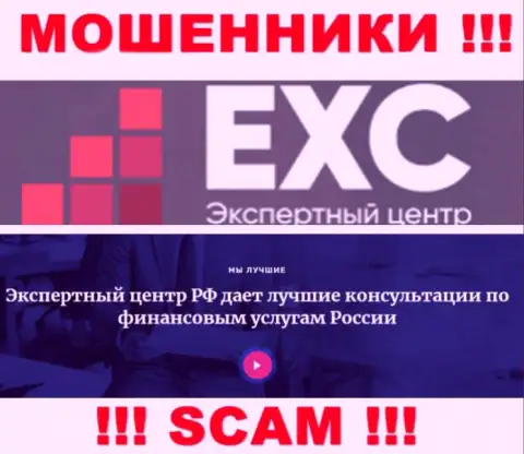 Экспертный Центр РФ занимаются грабежом клиентов, а Консалтинг только лишь ширма