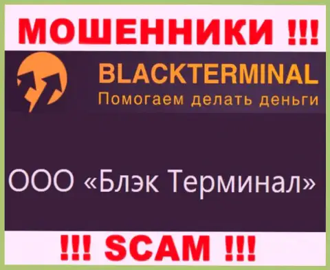 На официальном онлайн-сервисе BlackTerminal написано, что юридическое лицо организации - ООО Блэк Терминал