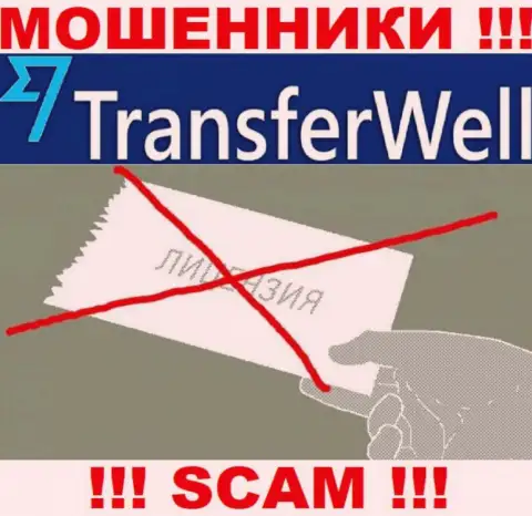 Вы не сможете отыскать инфу о лицензии internet-аферистов TransferWell, потому что они ее не сумели получить