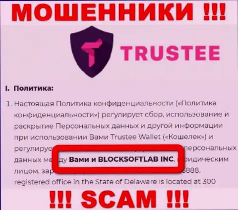 BLOCKSOFTLAB INC владеет организацией TrusteeGlobal Com - это МОШЕННИКИ !!!