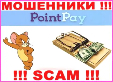 Point Pay - это ЛОХОТРОНЩИКИ, не нужно верить им, если будут предлагать пополнить депо