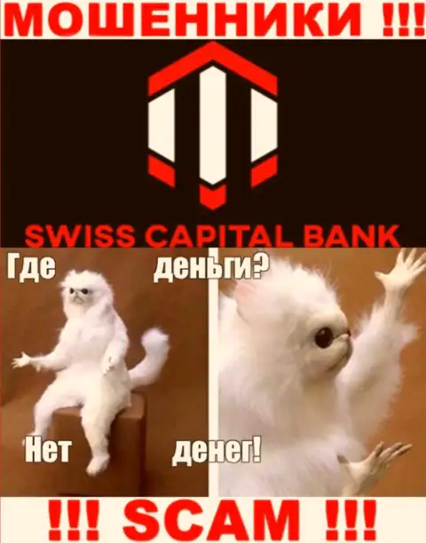 Если ожидаете заработок от совместной работы с брокерской компанией SwissCapital Bank, то тогда не дождетесь, указанные ворюги сольют и вас