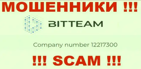 Регистрационный номер компании Bit Team - 12217300