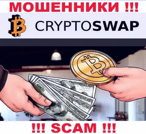 Довольно опасно доверять Crypto Swap Net, предоставляющим свои услуги в области Крипто обменник