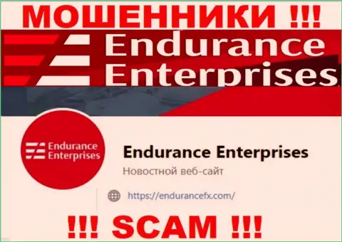 Установить контакт с жуликами из организации EnduranceFX Com Вы можете, если отправите сообщение им на электронный адрес