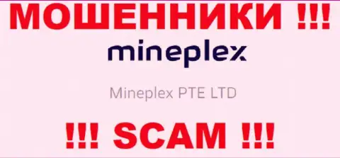 Руководством MinePlex оказалась организация - Mineplex PTE LTD