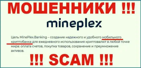 MinePlex Io - это интернет-мошенники !!! Тип деятельности которых - Крипто-банк