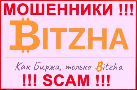 Bitzha - это МОШЕННИКИ !!! Вложенные денежные средства назад не возвращают !!!