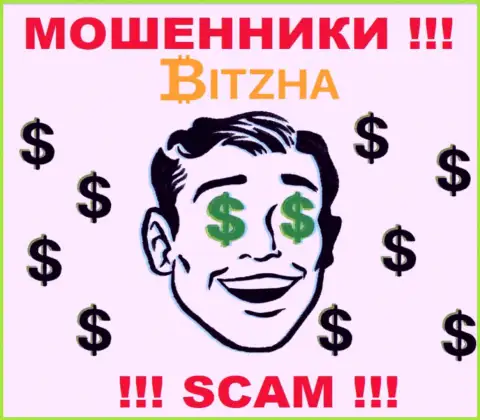 Организация Bitzha24 Com - это МОШЕННИКИ ! Орудуют незаконно, поскольку у них нет регулятора