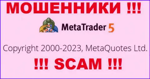 Юр. лицом MetaTrader5 Com считается - MetaQuotes Ltd