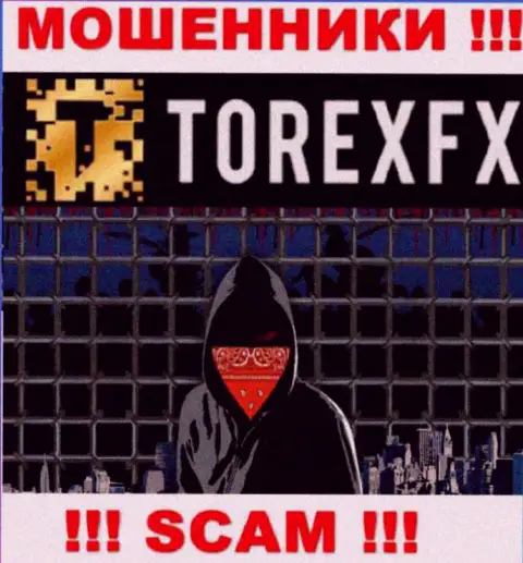 Torex FX скрывают сведения о руководстве конторы