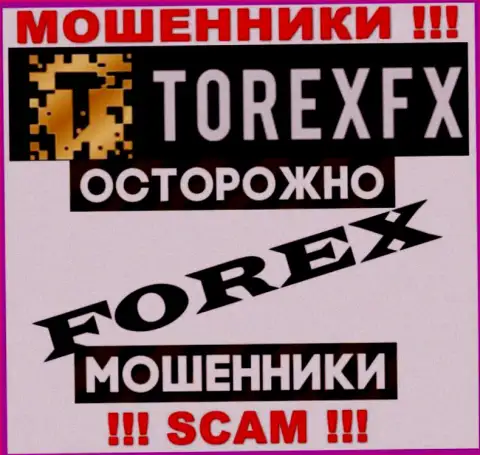 Род деятельности TorexFX: Форекс - отличный заработок для шулеров